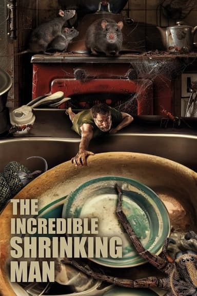 The Incredible Shrinking Man The Incredible Shrinking Man