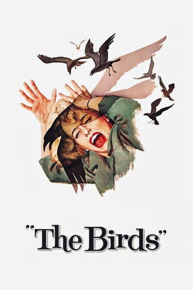 The Birds The Birds