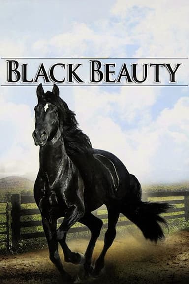 Black Beauty Black Beauty
