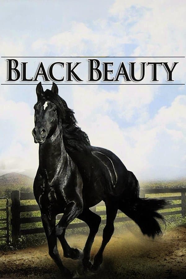 Black Beauty Black Beauty